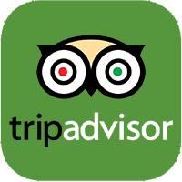 Tripadvisor Reviews